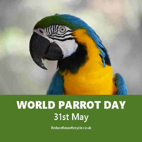 World Parrot Day